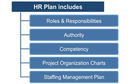 Business management plan template